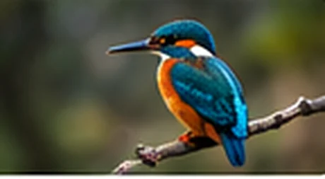 Wędkarski kadr: natura i wyprawy, zdjęcie 6