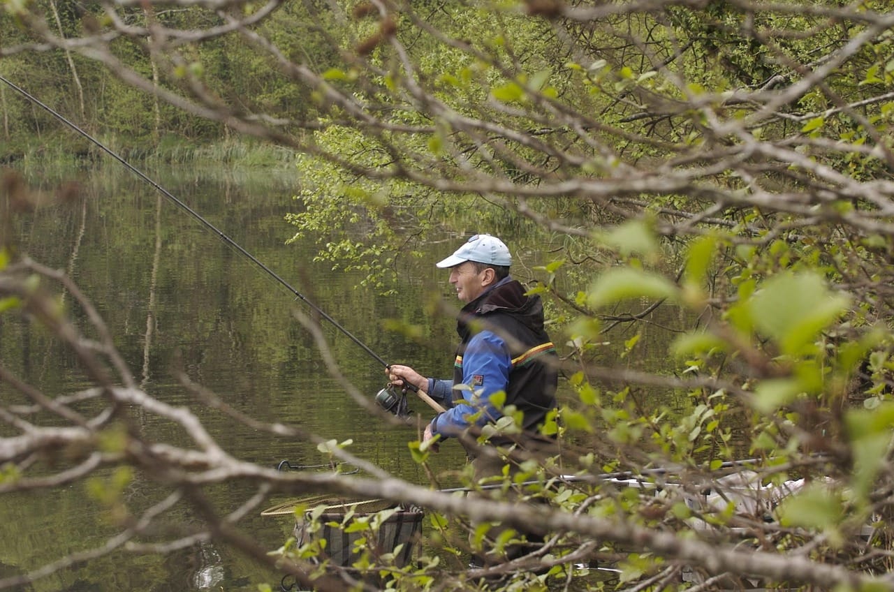 Kolory ryb – po co im te barwy?
