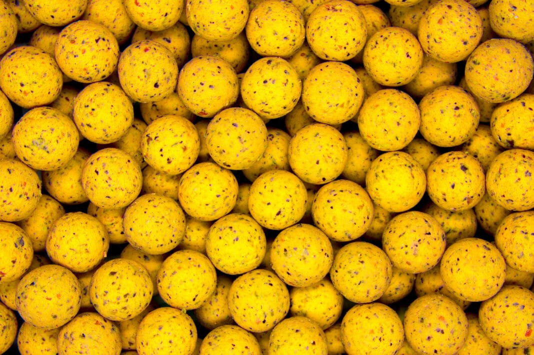 Kulki proteinowe – jakie smaki i rozmiary sprawdzają się w trudnych warunkach?